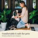 THEODORE MAGNUS Halloween Door Mat - Welcome Mat for Front Door with Non-Slip Backing - Durable Doormat - Perfect for Outside Entrance Matt - Outdoor/Indoor - Boo - 17" x 30"