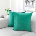 NiNi ALL Decorative Throw Pillow Covers Velvet Soft for Couch Sofa Bedroom Living Room Outdoor Pack of 2 20x20 Inch Aqua Green