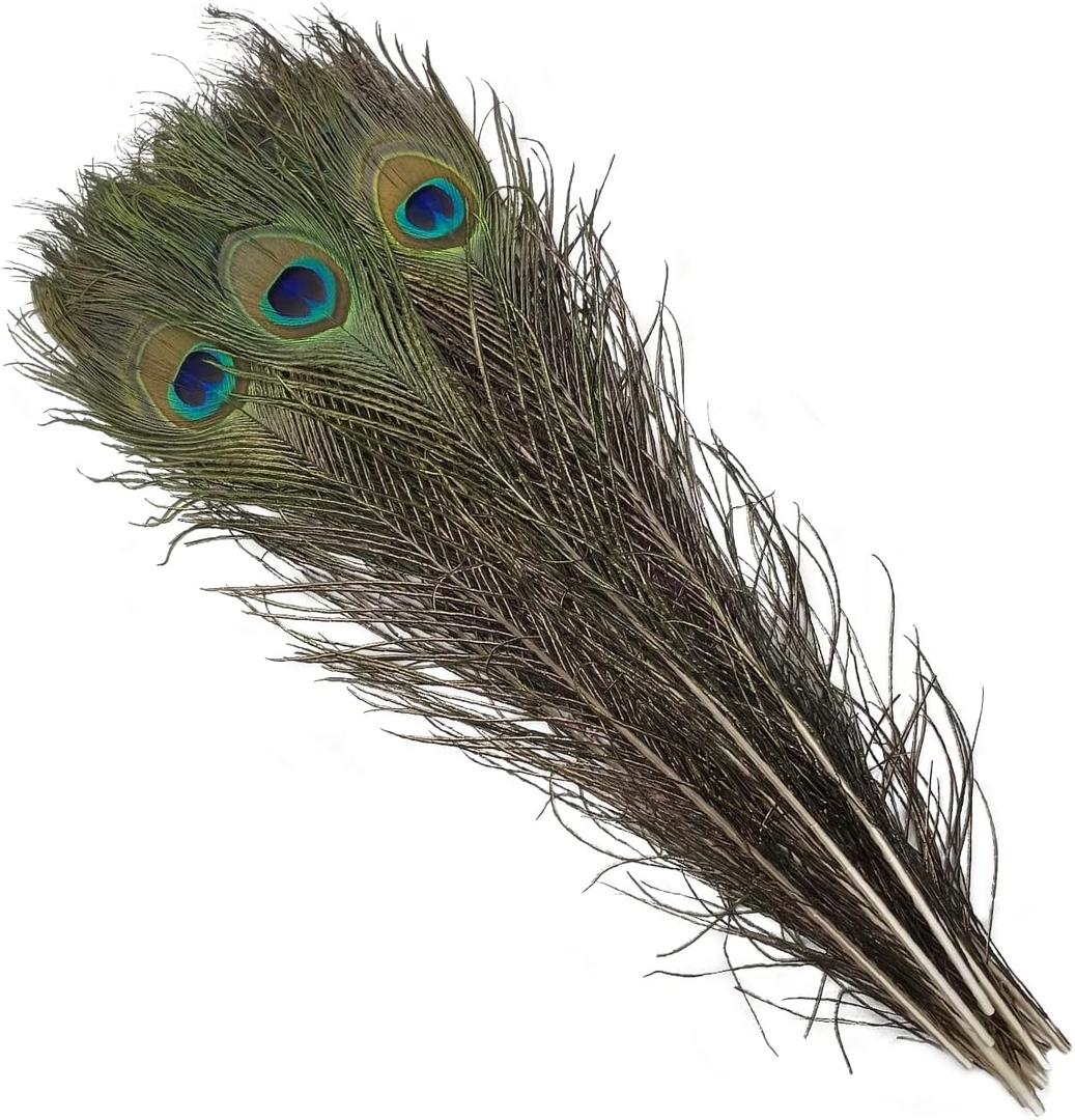 20pcs Long Natural Peacock Feathers 16-18 Inch for Tall Vases Home Decor Centerpieces Decorations Christmas Tree Ornament Crafts