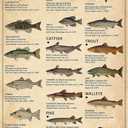 Boy's Fishing Gifts Vintage Fresh Water Gamefish Knowledge Tin Sign for Man Cave Boys Hunting Room Bedroom Lake House Cabin Wall Art Decor 8x12 Inch (3069)