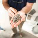 4 x Spitz Pumpkin Seeds, Dill Pickle, 4 Oz Snack Bag (EXP 02/10/26)