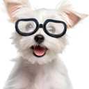 Enjoying Clear Dog Goggles Small Breed, UV Protection Dog Sunglasses Small Breed, Driving Puppy Eye Protection, Windproof Dustproof Anti-Fog, Breathable, Adjustable Straps, Transparent