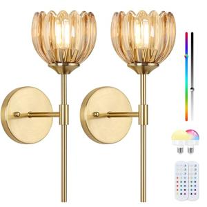 Rnzziw Vintage Battery Operated Wall Sconce Set of Two,Rechargeable Wall Lights with RGB Dimmable Detachable Bulbs and Remote,12 Colors Wireless Wall Lamps for Bedroom Living Room Hallway (Amber)