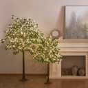Hairui Artificial Ficus Silk Tree Lights 4FT 140LED Fairy Lights, Faux Plant Tree with Lights for Home Room Spring Summer Decoration Inside