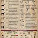 Horse Knowledge Metal Tin Sign Horse Care Vintage Funny Poster Club Living Room Kitchen Farm Home Art Wall Decoration Plaque