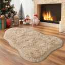 Shaggy Rug for Bedroom Living Room Dorm Decor, Soft Fluffy Shag Throw Rug, Non-Slip Fuzzy Small Carpet 2x3 Feet, Beige