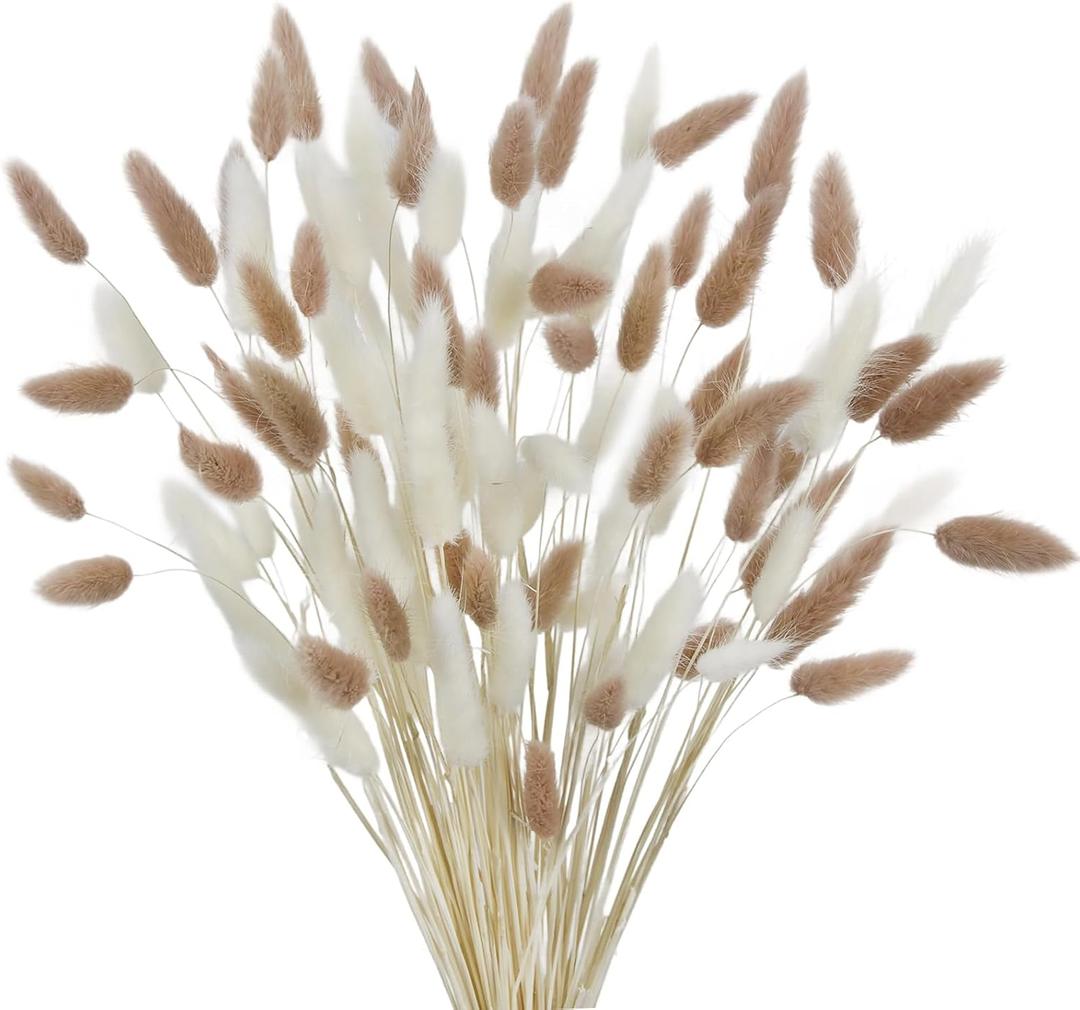 CISDUEO 120pcs Dried Bunny Tails Flowers Lagurus Ovatus Tail Dried Flowers Pampas Grass White and Light Brown Natural Dried Floral Arrangement for Boho Decor Home Wedding DIY Farmhouse Table 17"