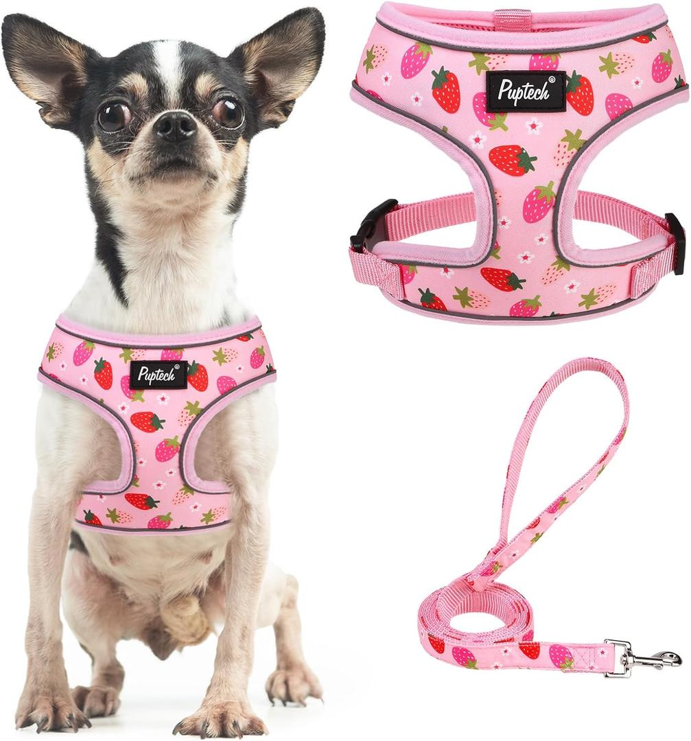 PUPTECK Soft Mesh Dog Harness and Leash Set Pet Puppy Cat Comfort Padded Vest No Pull Harnesses, Strawberry Pink, S, Size: S (NECK: 12", CHEST: 14"-18")