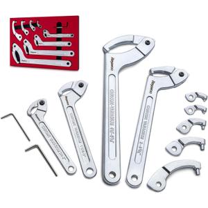 Reywoo Spanner Wrench Set with Changeable Heads, 11 Pcs Adjustable Spanner Wrench Tool for Hydraulic Ram Cylinder, Mechanical Machine, Equipments Vehicles