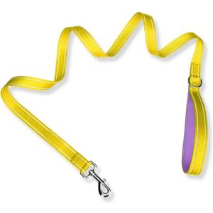 PHOEPET 5 Feet Dog Leash - Dual-Side Reflective - Soft Padded Handle - Fit for Walking, Training or Exploring Hiking, Camping (Yellow + Baby Purple Base) (L(Width: 1"))