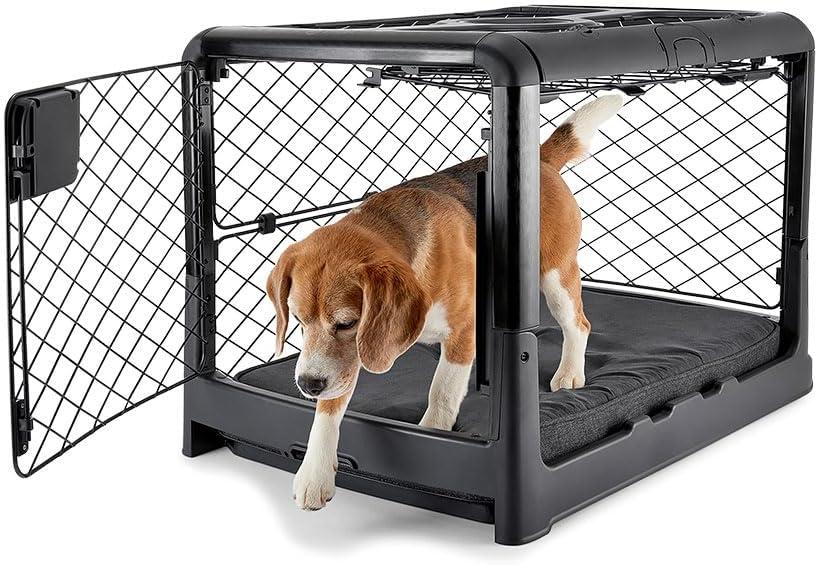 DIGGS Revol Collapsible Dog Crate with Wheels - Premium Portable Dog Crate - Safe, Stylish, and Convenient Indoor Kennel (Charcoal, Medium) (Medium (34.6"L x 22.9"W x 23.8"H))