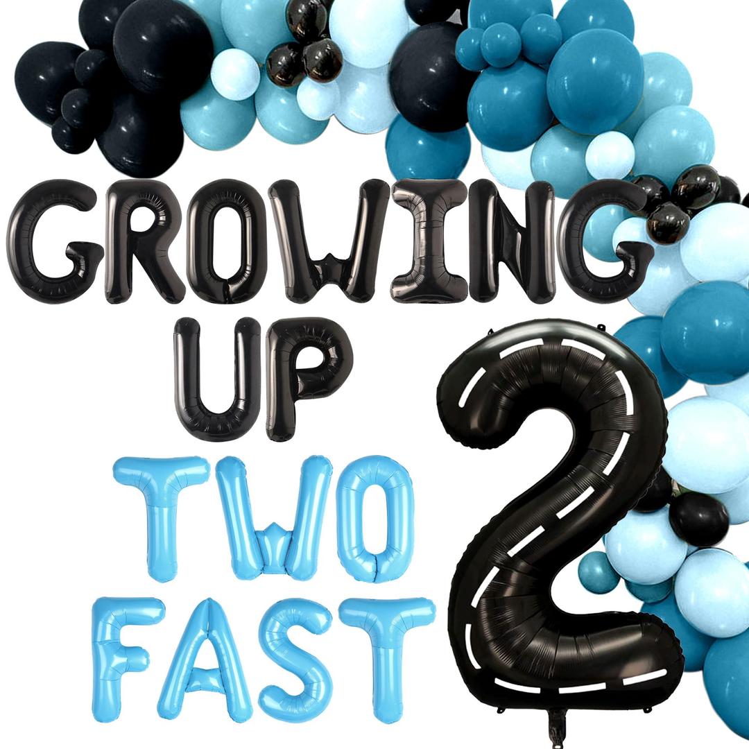 Two Fast Birthday Decorations Growing Up Two Fast Birthday Decorations Boy