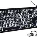 Large Print White Illuminated LED Backlit Keyboard for Mac, Full Size Computer Keyboards with Numeric Keypad Compatible with Apple Mac Pro/Mini, MacBook Pro/Air, iMac (Black, Large)