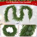 9FT Christmas Norfolk Pine Garland with Eucalyptus Real Touch Faux Greenery Garland Realistic Artificial Christmas Winter Holiday Decor Indoor Outdoor for Xmas Mantle,Stairs,Window,Fireplace (1)