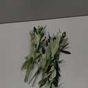 10 Pcs 12 Inch Ramadan Decoration Faux Olive Branches for Vases Eid Artificial Plants Olive Leaves Stems Ramadan Table Decor Eid Tabletop Greenery Centerpiece for Islamic Home Office Wedding Party