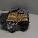 60 Pack 12 Count Quail Egg Cartons, Paper Pulp Quail Egg Holders, Bulk Quail Egg Container Boxes for Storage Quail Egg for Market, Family, Refrigerator, Farm