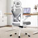 Ergonomic Office Chair - Computer Desk Chairs Comfy, Mesh High-Back Gaming Chair with Adjustable Lumbar Support, Executive Task Chair for Adults, Comfortable for Long Hours (Grey Silver)
