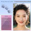 4 x Individual False Eyelashes, 10 Pairs Natural Black Lash Clusters, Soft Wispy Individual Lashes for DIY Eyelash Extension, Faux Mink False Eyelash for Natural Look at Home (10-12mm, S09)