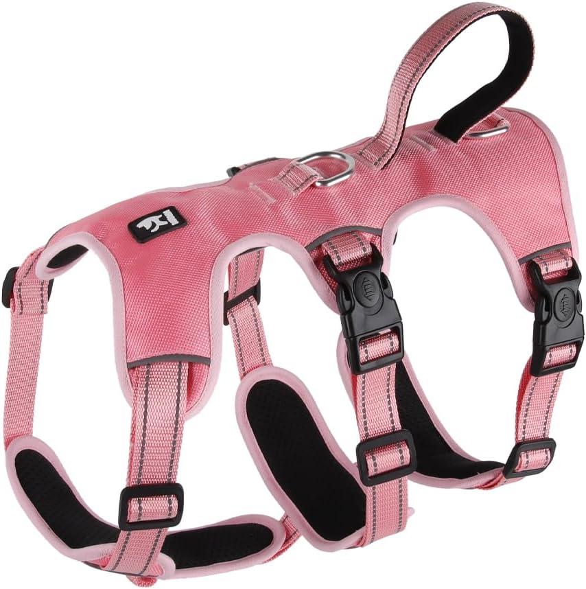 FEimaX Dog Harness No Pull Soft Padded Dog Vest with 3 Leash Clips and Easy Control Handle Reflective Adjustable No Choke Pet Harnesses for Medium and Large Dogs Training Walking (Pink, Small)