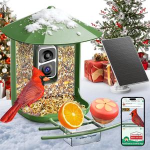 Smart Bird Feeder with Camera - 2.5K HD Night Vision Bird Feeder with Camera Solar Powered, Free AI Identify Auto Video 170 Live View Birds Feeders for Birds Lovers Outdoors(Green)