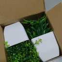 Der Rose 2 Pack Fake Plants Mini Artificial Greenery Potted Plants for Home Decor Indoor Office Table Room Farmhouse