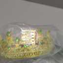 Green Happy Birthday Party Supplies Sash and Crystal Tiara for Mom Aunt Nana Sister Women Gifts