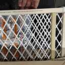 Toddleroo by North States - Diamond Mesh Wooden Baby Gate: Pressure Mounted Baby Gate for Doorways - Adjustable 26.5 to 42 Inches Wide - 23 Inches Tall