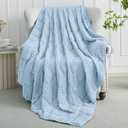 Mr. Sandman Weighted Blanket for Adults Queen Size 15 lbs, Soft Cooling Heavy Minky Blanket for Sleep, Washable Throw Blanket with Glass Beads, 60 x 80 Inches, Light Blue
