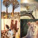 Designart PT12691-12-20 African Safari Wildlife CollageAfrican Landscape Art Print Canvas, 20" H x 12" W x 1" D 1P