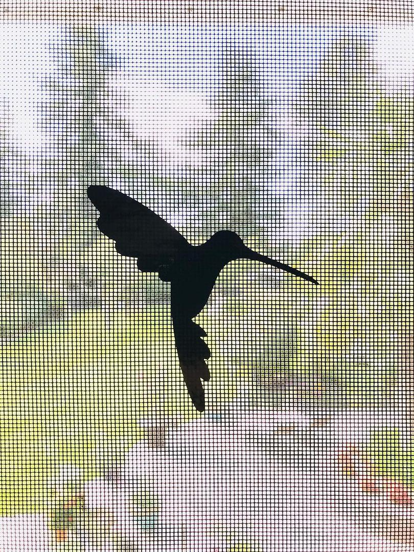 Retractable Screen Door Decals - 5 per Package - Keep Children Safe - Alert Birds, Dogs, Kids - Warn, Protect, Window Safety - Hummingbirds (Black)
