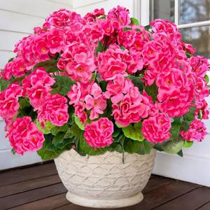 TURNMEON Artificial Geraniums Flowers for Outdoors Summer Decoration, 4 Bundles Fake Flowers Silk Pink Flowers UV Resistant No Fade Faux Plants for Planter Gardens Table Porch Indoor Cemetery Decor