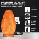 WBM Salt Lamp - USB Himalayan Salt Lamp with Touch Dimmer Control, Natural Pink Crystal, 5-7 lbs, Wooden Base, LED Bulb, Room Decor, Home Decor, Relaxation, Ambiance, Gift