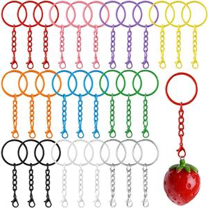 30Pcs Bulk Keychains for Women, 10 Colors Cute Keychain Set Colorful Keyrings with Chains Lobster Claw Clasps for Jewelry Making Supplies Metal Key Chains Jump Rings Keyring Keychain Accessories