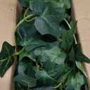 Fake English Ivy Plants in Pots Set of 2 Realistic Artificial Ivy Greenery for Home Decor, Tabletop, Office, Shelf, Balcony or Bathroom Lifelike Faux Hanging Vines, No Maintenance Required