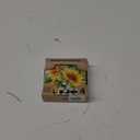 Counterart Absorbent Stone Coasters - Sunflower Fields - Set of 4 - 4x4x1.230
