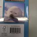 2026 Baby Animals 12-Month Wall Calendar by Turner
