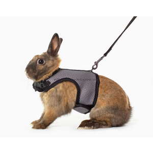 Niteangel  Small Pet Rabbit Harness Leash Comfortable Traction Rope for Rabbits Hamsters and Squirrels Lightweight and Durable Design S