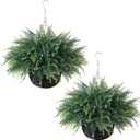 FOTEEWL Artificial Ferns Hanging Basket for Outdoor - 2 Sets Sun-Resistant Lifelike Plants Fake Fern Faux Greenery Bush for Porch, Home Garden, Farmhouse, Eaves, Yard Decor