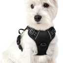 rabbitgoo Dog Harness No Pull with 2 Leash Clips, Adjustable Soft Padded, Reflective Oxford No Choke Pet Vest with Easy Control Handle for Puppy, Black, XS