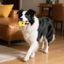 Interactive Dog Toys Bully Stick Holder,Treat-Dispensing & Squeaky Dog Chew Toys to Keep Them Busy Multifunctional Natural Rubber (Yellow)