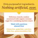 Simple Mills Almond Flour Crunchy Cookies, Chocolate Chip - Gluten Free, Vegan, Healthy Snacks, Made with Organic Coconut Oil, 5.5 oz (Pack of 3)