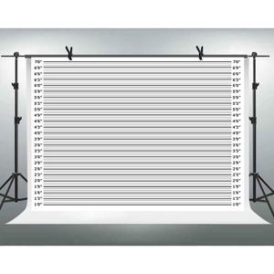 Mugshot Photo Booth Backdrop Banner 10x7ft Wide Enough for Everyone Accurate Measurements for Bachelorette Party, Girls Night Out, Birthday, Height Charts, Party Theme Props LSFH635