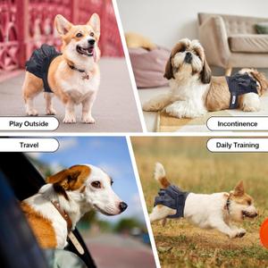 Reusable Dog Diapers Female Washable, Premium Doggie Diaper for Dogs, Pack of 2, Highly Absorbent Small Dog Diaper for Heat, Incontinence and Puppy Training(S)