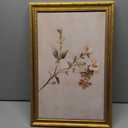 Vintage Gold Framed Wildflowers Wall Art Rustic Retro Floral Botanical Canvas Painting Picture Wall Decor Farmhouse Country Flower Poster Print Artwork for Bedroom Living Room Home Decoration