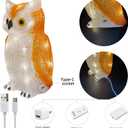 Gloworm YKL-1018, 22.5CM Acrylic Owl Lighting, Garden/Home Figure Light Up, 24 Warm White LEDs, 6H Timer, Dual Power Supply USB or Batteries: 3 x AA (Not Included) Garden/Home Decoration Indoor