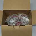 Finnhomy Swivel Caster Wheels 2 Inch Heavy Duty Threaded Stem Casters 1/4" - 20 x 1 Set of 4 for Wire Shelve Wheels PU Load Bearing 800 Lbs Anti-wear Smooth Casters, Red