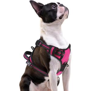 PUPTECK No Pull Dog Harness Small Sized, Adjustable Reflective Dog Harness with Handle Easy Control, Comfortable Soft Padded Pet Vest Harness for Small Dogs, Fuschia S