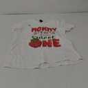 Daddy Of The Berry Sweet One 1St Birthday Strawberry T-Shirt, S