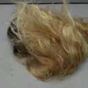 Fencca Ombre Blonde Curly Wigs for Women Medium Length Synthetic Wig Afro Wave Curly Free Part Fluffy Wig 18 inch Curly Wavy Hair Replacement Wig