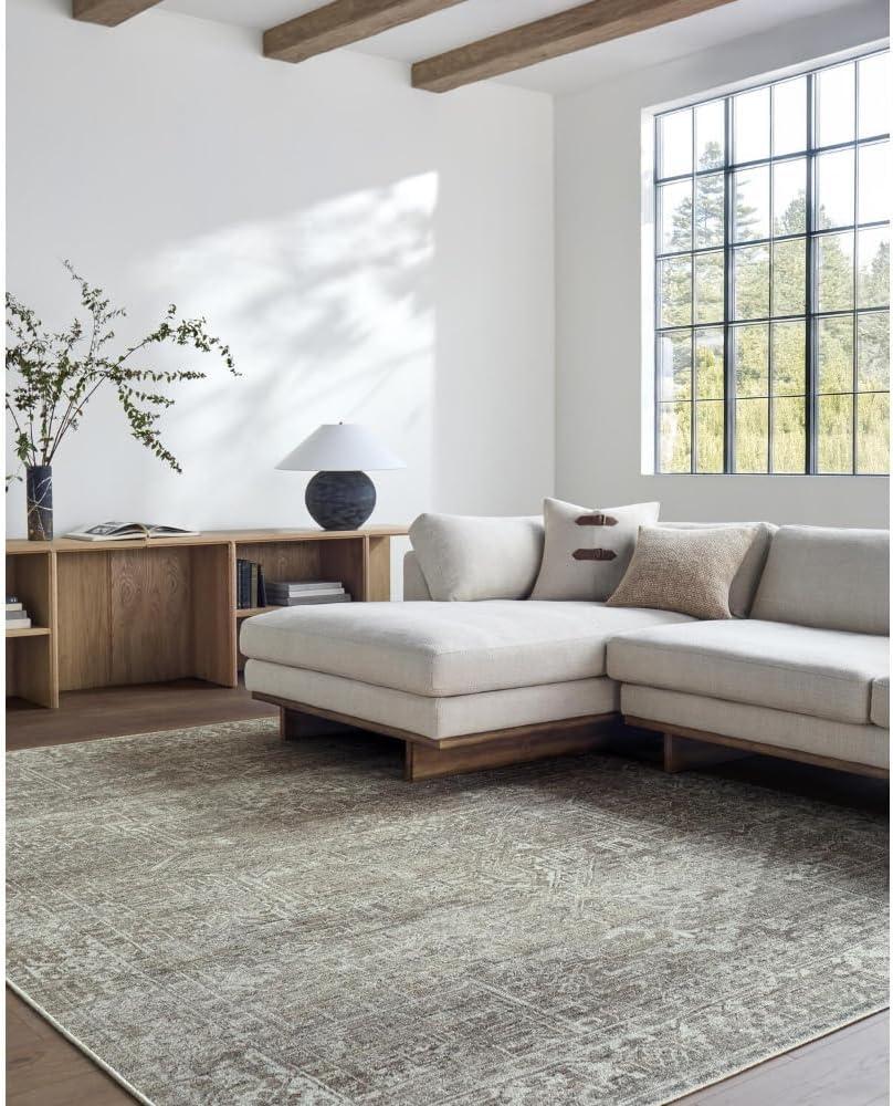 Livabliss x Galey Alix Collins Avenue VI Vintage Medallion Area Rug, 7'9" x 10' (8' x 10'), Light Brown